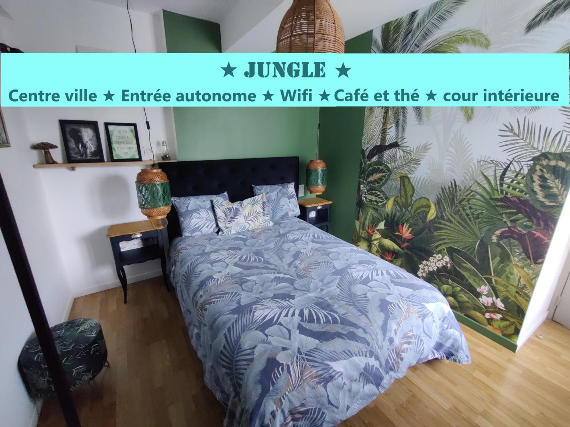Appartement T2 JUNGLE Centre Ville de VITRÉ au calme coté cour Extérieur photo